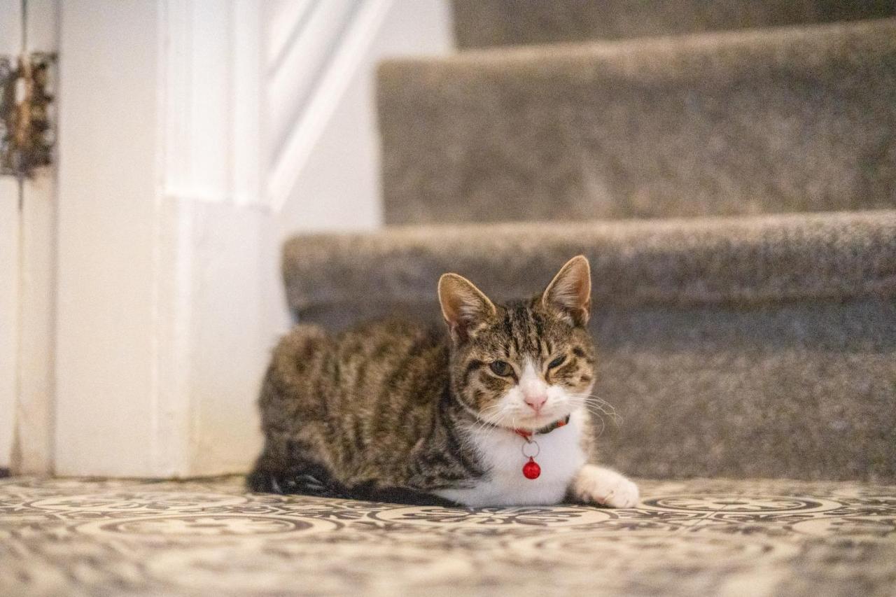 Cavendish Cat And Gaming House Daire Blackpool Dış mekan fotoğraf