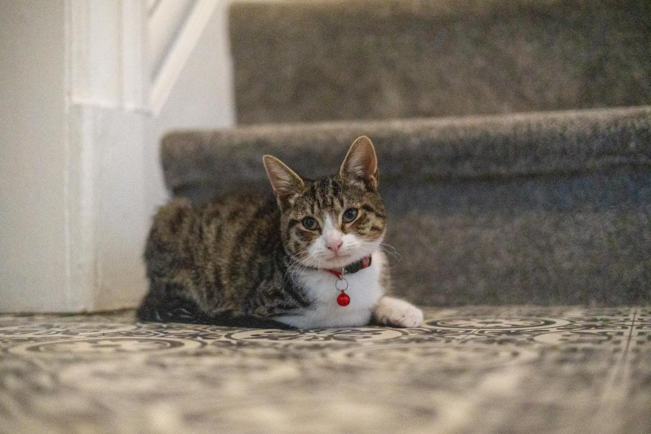 Cavendish Cat And Gaming House Daire Blackpool Dış mekan fotoğraf